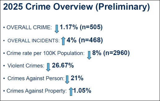2025 crime overview
