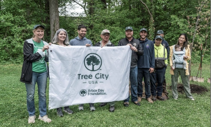 Arbor day feature image