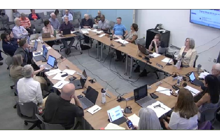Council Joint Work Session on Virginia Village