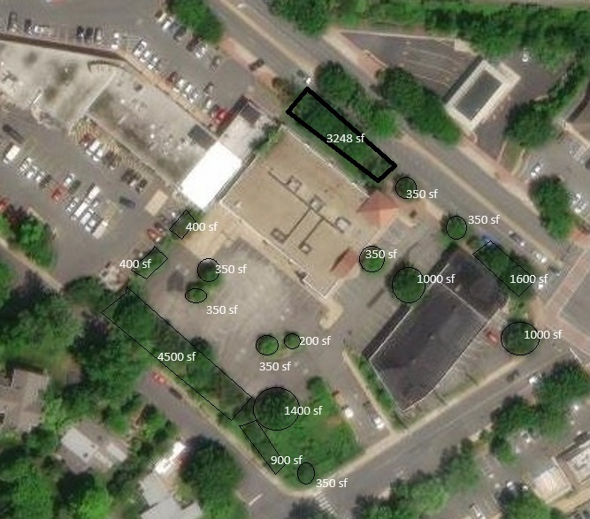 Satellite image of Founders Row II site showing the existing tree canopy and size estimates before construction began.