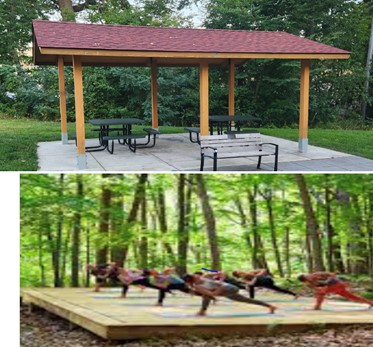 picnic shelter and platform