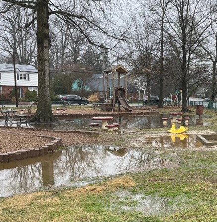 Photo of Lincoln Park flooded after overnight rain.