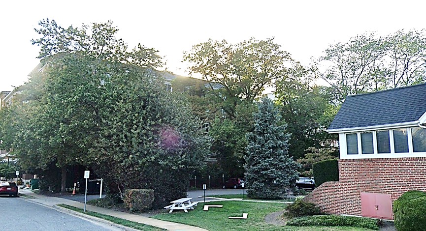Photo of rear of Lee Park II site with existing mature trees.