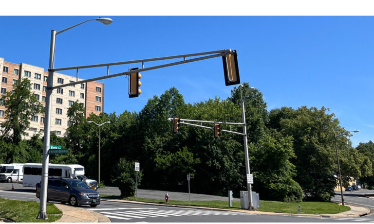Photo of maple and annandale project site