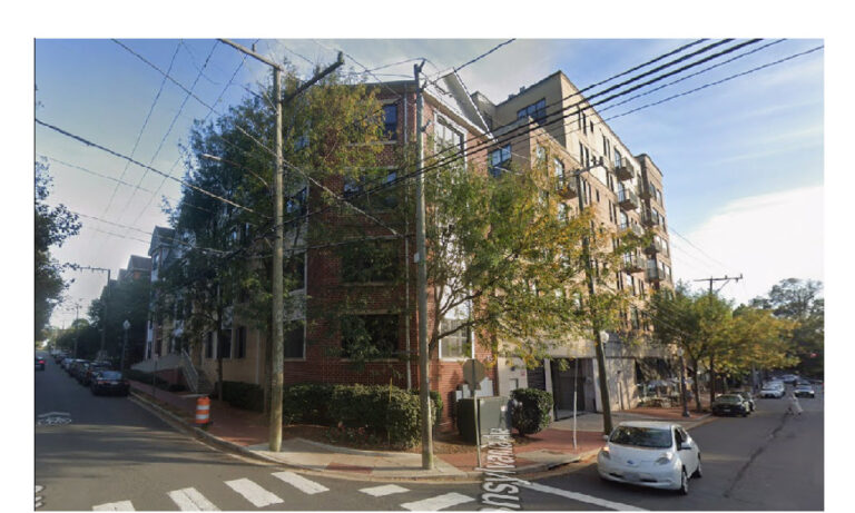 Tree canopy feature image photo of corner of Park and Penn