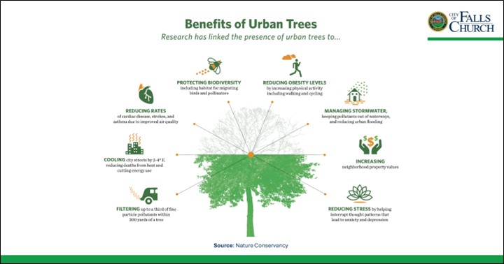 Benefit of urban trees chart