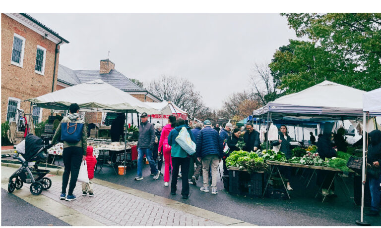 falls church Farmers market photo