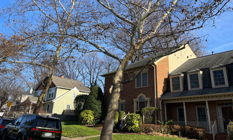Photo of townhouses and detached single-family houses