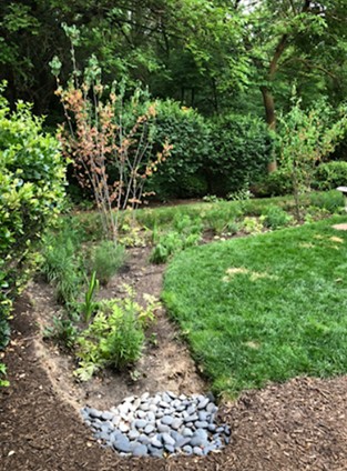 Photo of green infrastructure rain garden.
